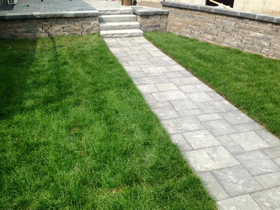 13174053_1281988821865460_670777814197650775_n